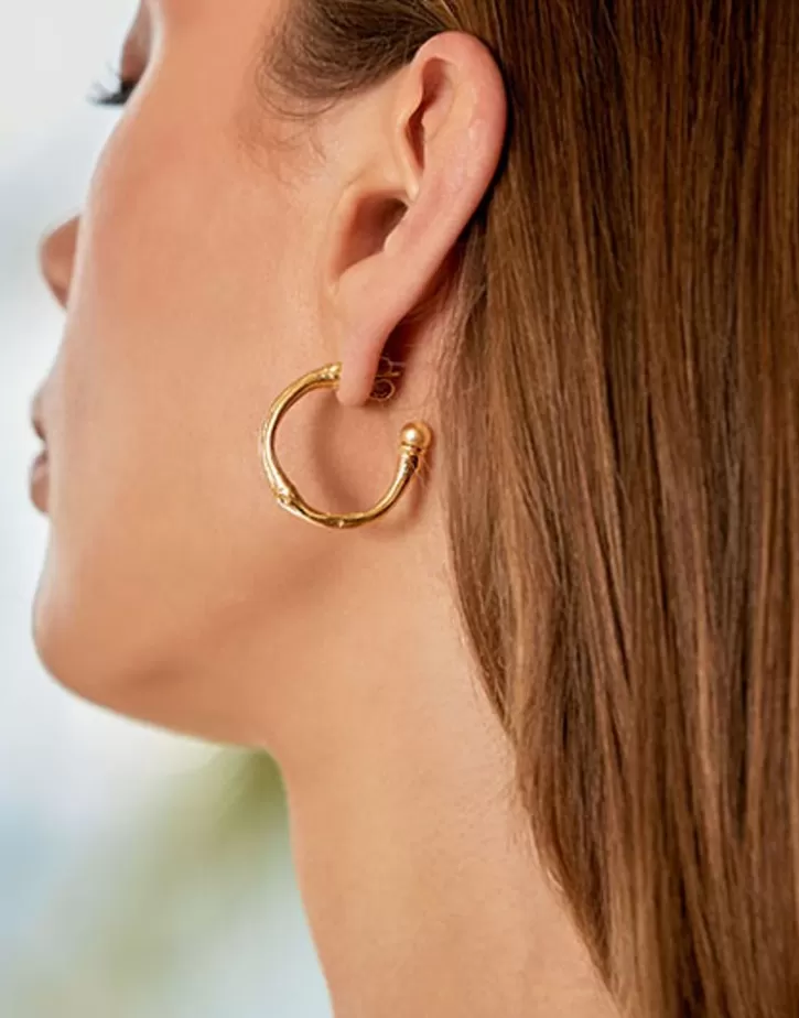 Best Majorica Golden Bamboo Hoop Earrings With Champagne Pearls